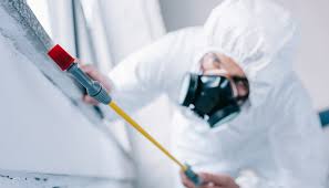 Best Commercial Pest Control  in Ashtabula, OH